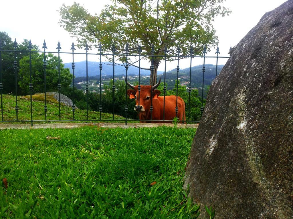 Quinta Da Toural Villa Arcos de Valdevez Luaran gambar